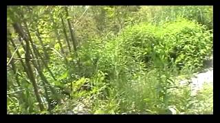 Appunti per uno sviluppo sostenibile