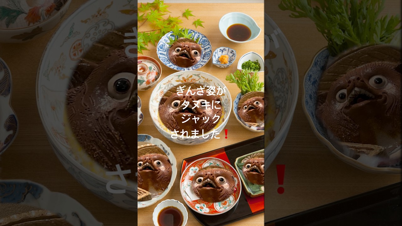 ぎんざ姿 は タヌキ にジャックされました！（ エイプリルフール ）Ginza Sugata has been taken over by a Tanuki! April Fool's Day