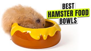 3 BEST Hamster Food Bowls - Stop Using Flimsy Bowls That Tip Over!