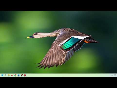 PREGÃO ELETRÔNICO  Nº 01/2026 - SANTA ISABEL DO IVAÍ - PR