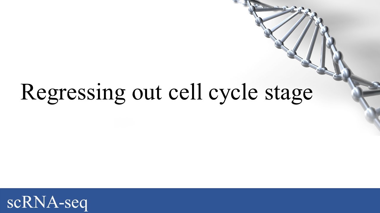 scRNA-seq: Cell cycle regression