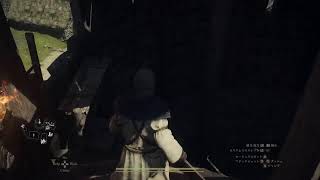 ドラゴンズドグマ2　プレイ