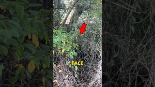 It Was Staring At Him... #scary #paranormal