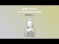 Andrew Rayel feat. Christian Burns - Miracles ...