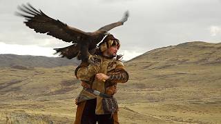 Erster offener asiatischer Falknereipokal in Kasachstan zeigt uralte Jagdtradition
