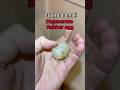 My Turken lays multiple gelatinous eggs. . . #chicken #hen #eggs #rubberegg #pathogen #strange