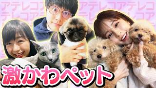 【激カワ】フジアナのかわいい家族大公開！/FODアナマガ「フジアナのいろイロ」