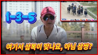 왜 경마를 삼복승만 하세요?