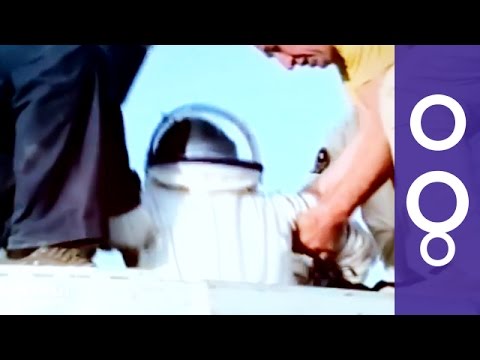 The Astronaut Academy: Keeping Space Crew Health In Check