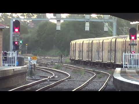 SCT015+CSR018=Maitland