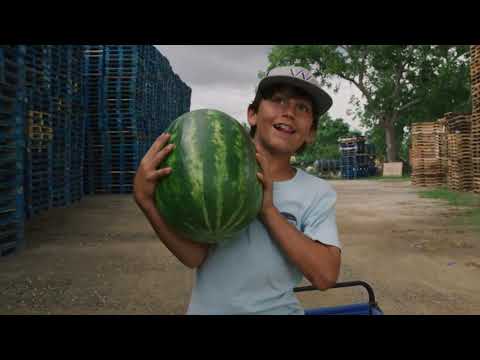 Gibbs Farm - A Real Family Farm - Season 3, Episode 5 Where the Food Comes From