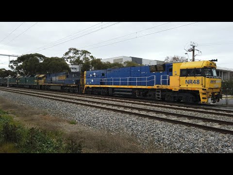 NR48 + NR8 + G542 + G538 + G537