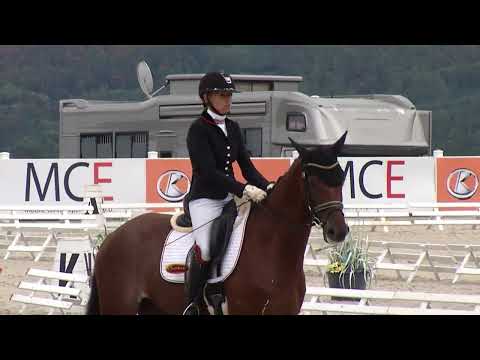 Soutěž č. 5: KMK v drezuře pro 4leté hřebce a valachy, 4Ú/2022 – Zduchovice 23. 9. 2023