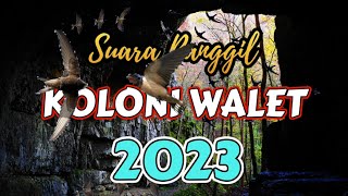 Download lagu Suara Panggil Koloni Walet 2023 mp3