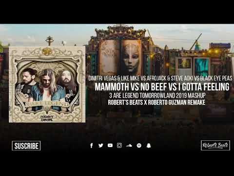 Mammoth vs No Beef vs I Gotta Feeling (Dimitri Vegas & Like Mike vs Steve Aoki Tomorrowland Mashup)