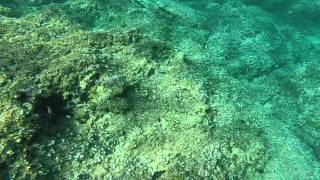 preview picture of video 'Premantura (Croazia) Gopro 2014'