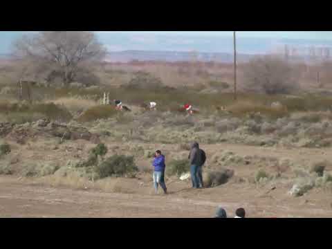 FLOKY  Club Hípico Cabo Alarcón - Picun Leufu - 27/08/2023