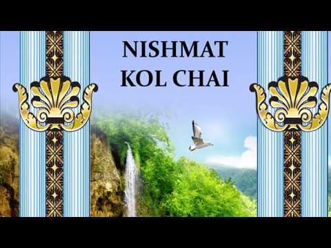 Thank You Hashem - Nishmat Kol Chai