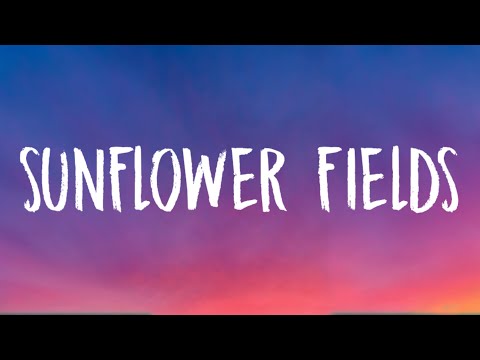 MAGIC! - Sunflower Fields (Lyrics)