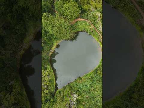 🌿 Laguna Escondida | Hualpén, Región del Biobío | Enero 2026  🌿 #Chile #Biobío #Hualpén