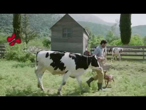 NOYNOY 'ΕΚΛΕΚΤΟ' ΓΑΛΑ 06/2015