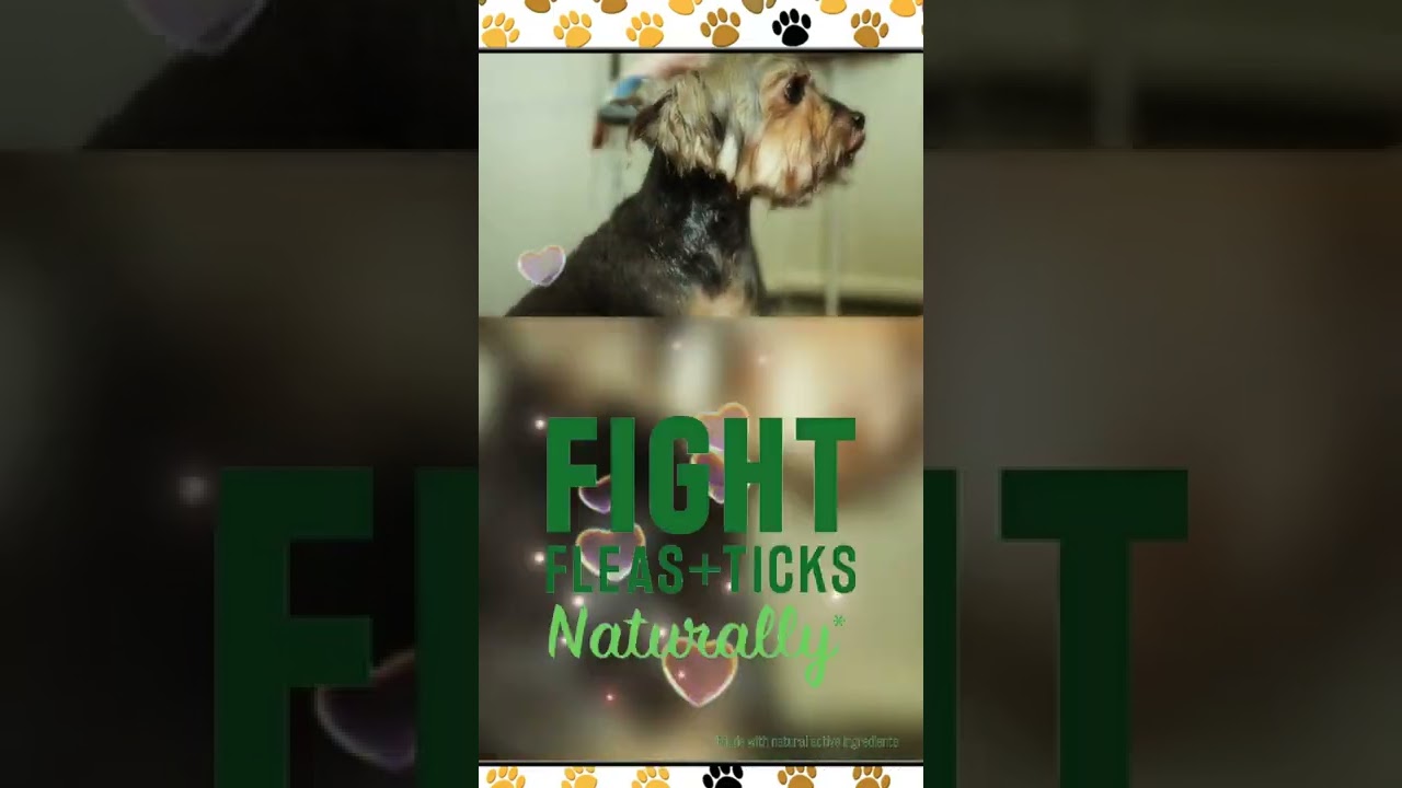 🐩🐩Tropiclean Flea and Tick Soothing Shampoo🧴।flea and tick shampoo for dogs।