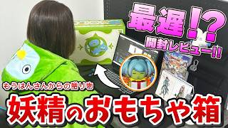 妖精のおもちゃ箱開けたらかわいいがいっぱいやった！【ドラクエ10】