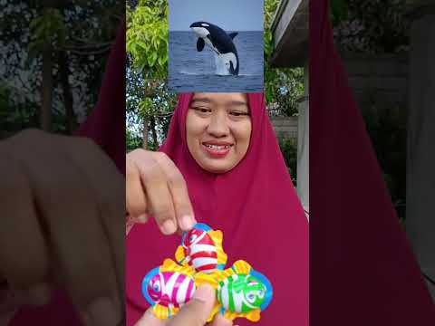 collection of ice cream shorts part 75 for unique candy fish guess the name