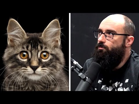 Vsauce: Perception vs Reality | AI Podcast Clip with Michael Stevens