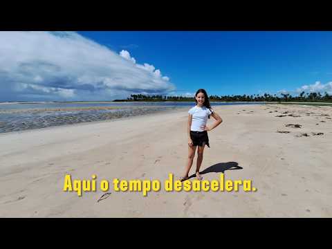 Praia de Barra de Camaragibe Rota Ecológica dos Milagres Alagoas 