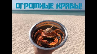 Ссылка