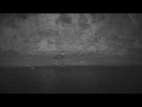 Djuma: Civet - 23:06 - 07/14/20