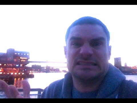 Angry Birds (of New York City)