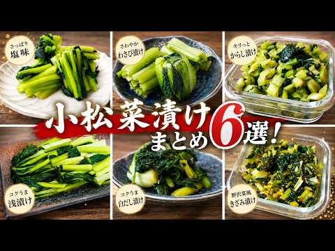 【小松菜漬けまとめ６選！】♢常備菜に最高！誰でも作れる簡単漬け物レシピ♢