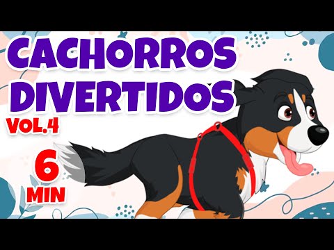 Cachorros Divertidos Vol. 4 - Giramille 6 min | Desenho Animado Musical