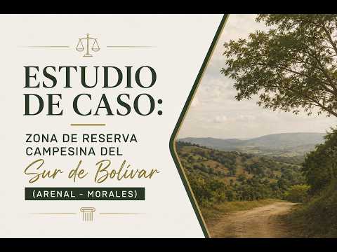 Estudio de caso: Zona de Reserva Campesina del Sur de Bolívar (Arenal - Morales)
