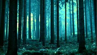 Estatic Fear - Des Naechtens Suss Gedone