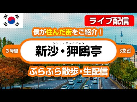 [AO VIVO] Cidade luxuosa em Seul, Coreia do Sul! Vamos dar um passeio por Sinsa e Apgujeong na área de Gangnam!