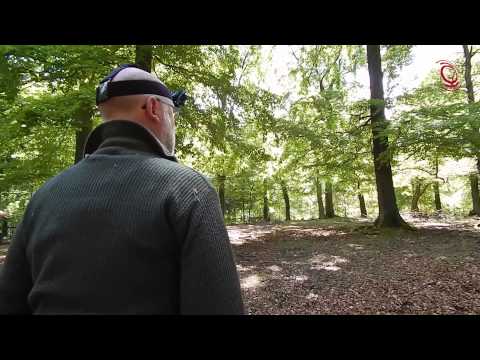 Nachwuchs im Tierpark Hexentanzplatz - Frischlinge und Rotwildkälbchen