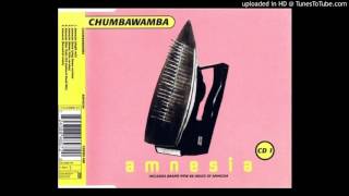 Chumbawamba - Amnesia (Zion Train Mix)