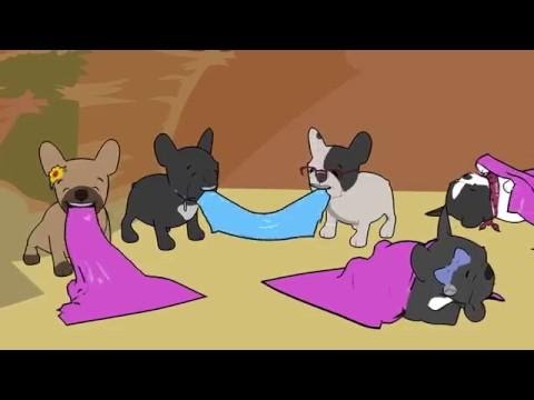 Boa Noite - CLIPE MUSICA OFICIAL - Fazendinha da Zelda