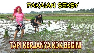 Download lagu Ngakak parah!!!  Lihat mbak dita  sama yu sri - komedi Cenut Nut mp3 Download lagu Ngakak parah!!!  Lihat mbak dita  sama yu sri - komedi Cenut Nut mp3