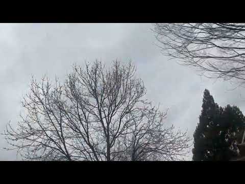 Beauty of natural change