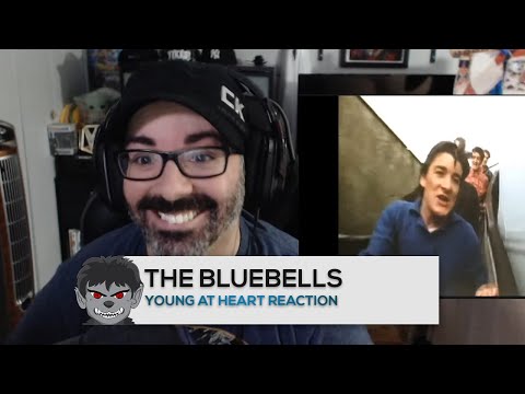 The Bluebells Young At Heart (Official Video) Reaction