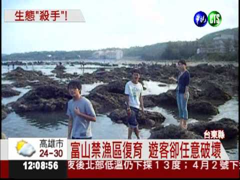 生態教育倒退! 缺德客扔石砸魚