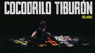 Cocodrilo Tiburón Lyrics English Translation