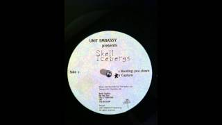 Unit Embassy Presents Skell Icebergs - Hunting You Down
