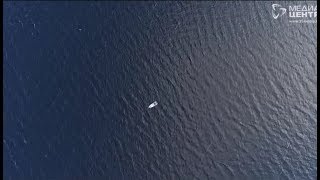 Карта рыбинского водохранилища с рыболовными местами