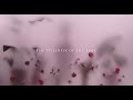 "The Rose" – William Carlos Williams + cottonbro