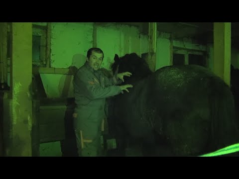 Calatorie prin Romania cu Stelica, George si Simion - 2020 Nou